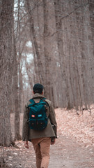 Man walking in the forest