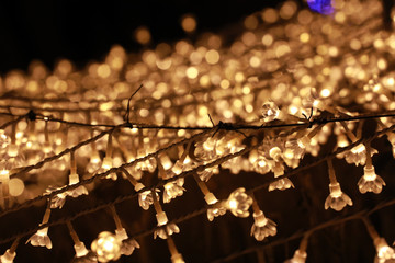 light bulb on the electric cable line