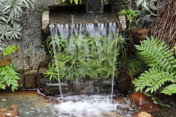garden waterfall 1