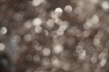 Silver Bokah
