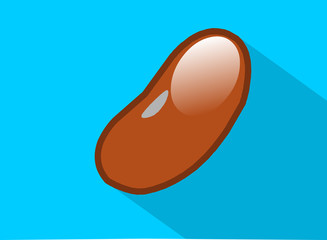 Bean Seed Grain