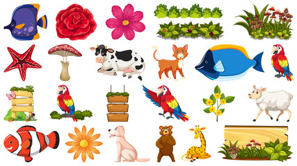 Set of animal and plant
