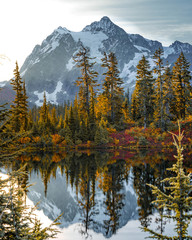 favorite plaves around the planet