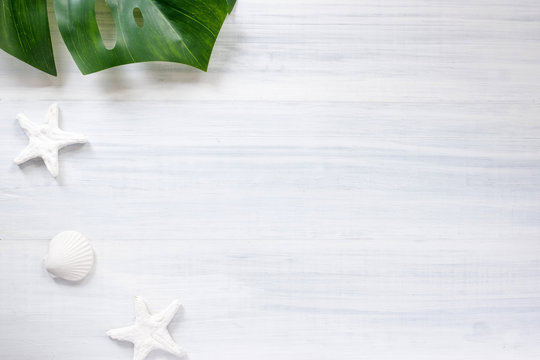 Top view summer monstera leaf and shell and star fish on white wood table with sunlight shadow.summer vacation