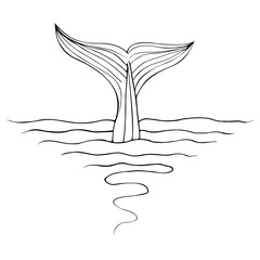 Abstract hand drawn whale tail isolated on white background. Vector illustration. Line art. Sketch