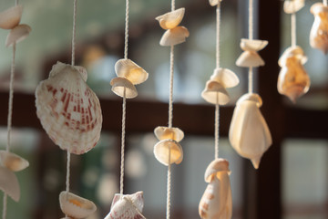 Mobile made from shells Hanging hanging on the window Eye-catching colors When the wind blows, hear the shells hit and enjoy.
