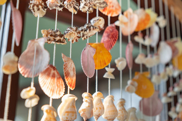 Mobile made from shells Hanging hanging on the window Eye-catching colors When the wind blows, hear the shells hit and enjoy.