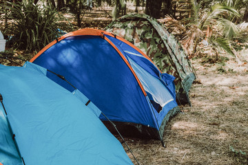 A variety of tent camping colors, camping at the sea, on the beach, good atmosphere.