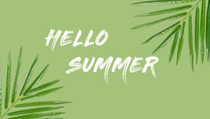 Summer web banner. Summer background with lettering hello summer on green background