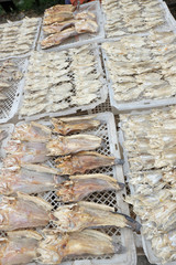 dried fish