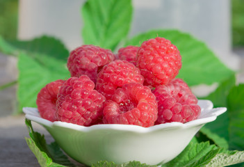 Ripe red raspberries in a white plate on the table on a background of green leaves, healthy food