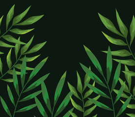exotic branches leaves plants background