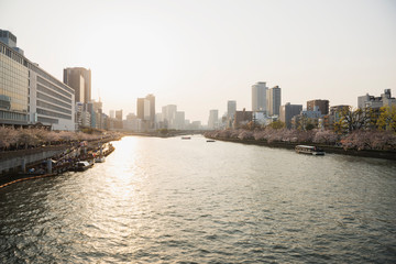 Fototapeta premium 夕方の大川