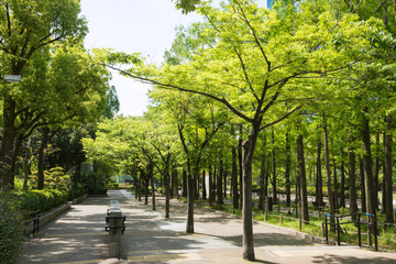 Fototapeta na wymiar 朝の東遊園地