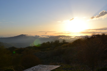 Georgia