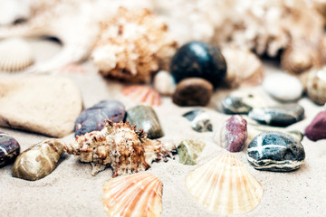 Seashells and stones on the sand, summer beach background travel concept with copy space for text.