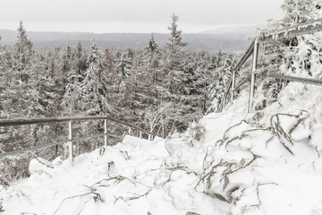 Obraz premium Nationalpark Harz der Oderteich im Winter