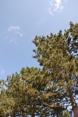 Fototapeta premium Georgia