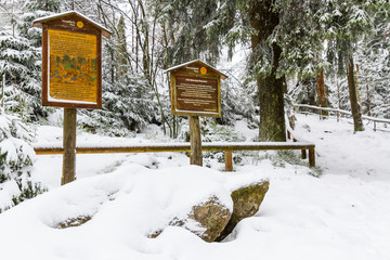 Nationalpark Harz der Oderteich im Winter