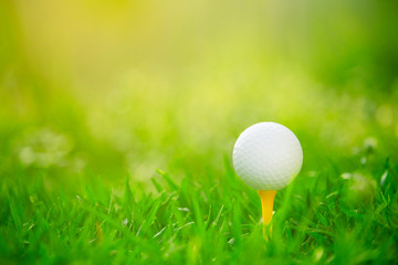 golf ball on tee in a beautiful golf course with morning sunshine