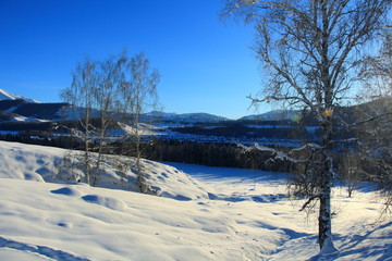 winter landscape