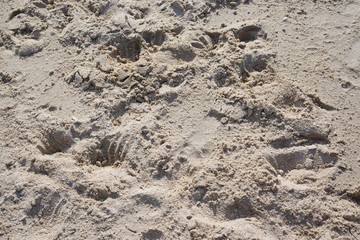 Abstract, Sand texture abstract background, Sandy beach for background, Top view, space for your text, Too soft