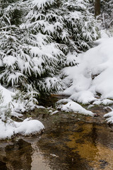 Obraz premium Nationalpark Harz der Oderteich im Winter