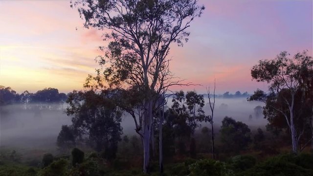 Stunning drone dolly shot of a beautiful misty sunrise in the outback in Queensland Australian