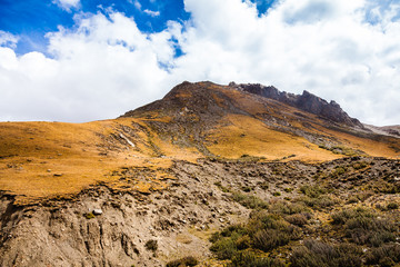 green valley in Himalaya mountains