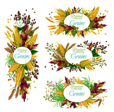 Grain cereals, food crops wheat, rya and corn