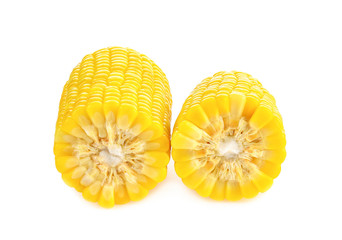 sweet corn isolated on white background