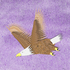 Eagle recycle paper craft for background