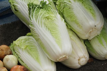 Fresh cabbage for cooking at street food