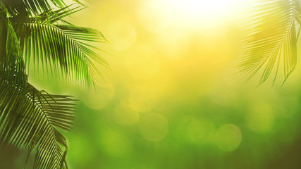 Obraz na płótnie Canvas Blur beautiful nature green palm leaf on tropical beach with bokeh sun light abstract background. Copy space of summer vacation and business travel concept. Vintage tone filter effect color style