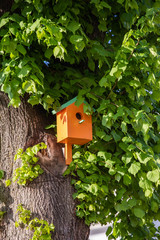 birdhouse on tree