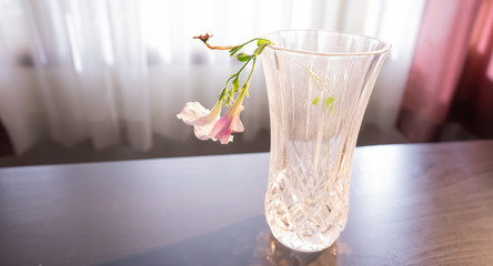 glass vase