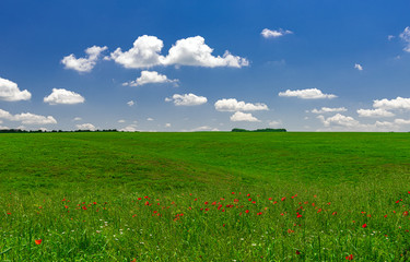 Panoramic view to green field with clouds in the blue sky