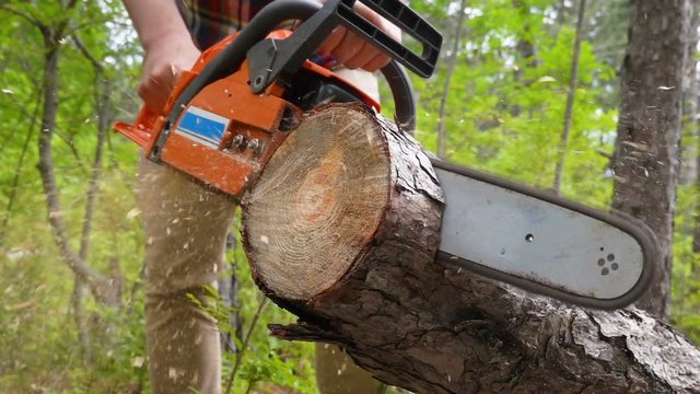 Cutting through wood with chainsaw in slow motion