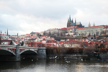 The panorama of the Charles bridge and Prazhsky Hrad in the center of Prague	