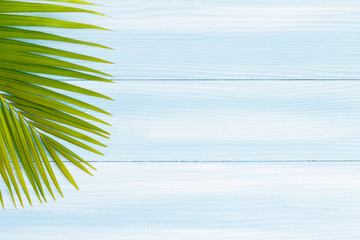 Top view of the blue wood background and palm leaf. Design nature concept for add text in picture.