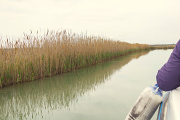 Reed on the shore of the lake.  Swirl on the water from the boat, fender in the right side of the...