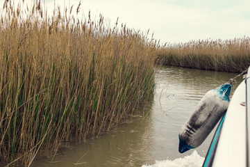 Reed on the shore of the lake.  Swirl on the water from the boat, fender in the right side of the...