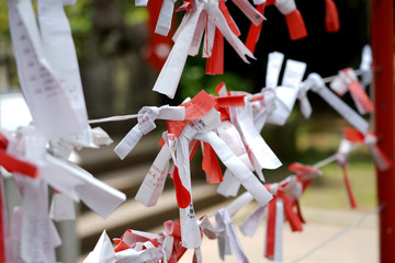  Make a fortune-Japanese traditional Omikuji 