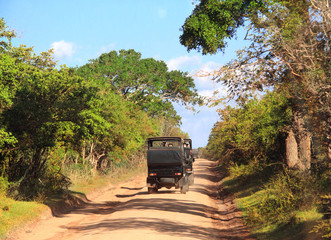 Car safari in Yala National Park, Sri Lanka