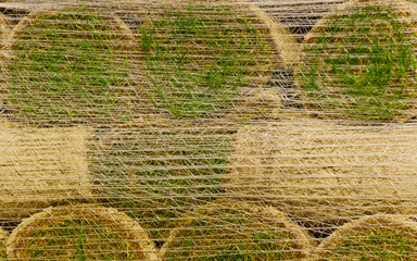 Stacks of sod rolls for new lawn