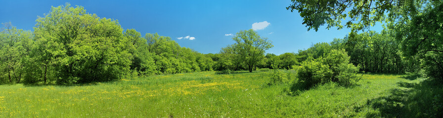 Panorama of a green meadow, a suburb of Novomoskovsk, Ukraine