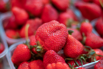 Fresh Strawberry Punnet. Organic Fruit Basket. Natural Juicy Macro of Supermarket Food. Strawberry Tray Harvest Top Close-up. Delicious Vegetarian Diet Food.