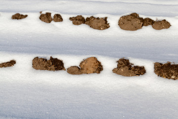 Snow drift and soil