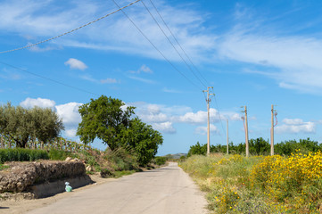 Obraz premium Sicilian Country Road, Caltanissetta, Italy, Europe