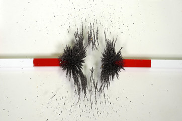 The lines of forces around two magnets with counteracting magnetic fields shown with iron chips spread on a glass plate that rests on the magnet.